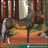 Horse Color:Silver Buckskin 