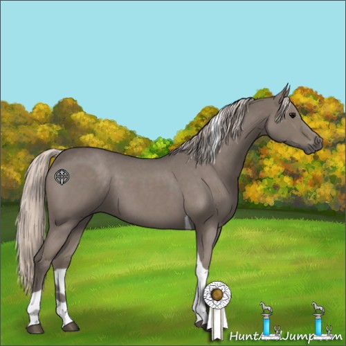 Horse Color:Silver Blue Roan Tobiano 