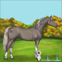 Horse Color:Silver Blue Roan Tobiano
