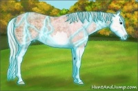 Horse Color:Thunderstruck Plaid Silver Bay Ice Splash