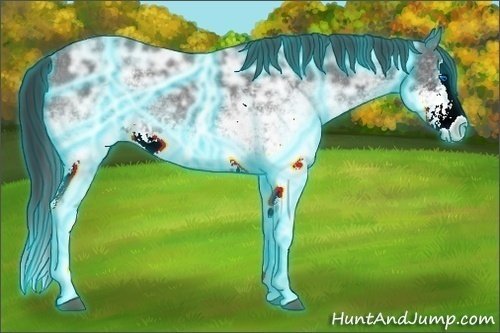 Horse Color:Thunderstruck White Spotted Blue Ice Roan Splash 