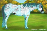 Horse Color:Thunderstruck White Spotted Blue Ice Roan Splash 