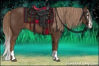 Horse Color:Liver Chestnut Splash 