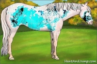 Horse Color:Plaid  Silver Sable Champagne Ice Roan Dun Frame Rabicano 