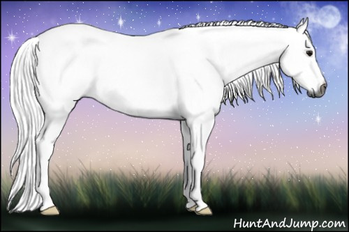 Horse Color:Gray Brown 