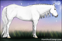 Horse Color:Gray Brown 