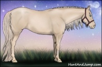 Horse Color:Palomino Pearl