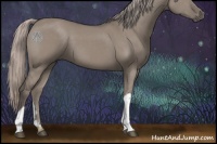 Horse Color:Silver Grullo 