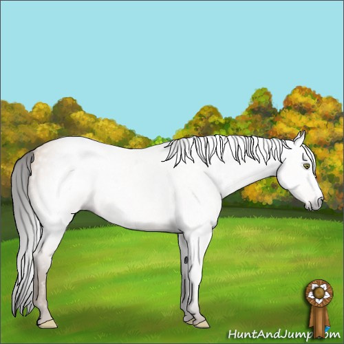 Horse Color:Gray Amber Champagne 
