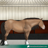 Horse Color:Gray Amber Champagne 