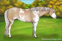Horse Color:Silver Black Pearl Sabino