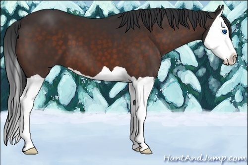 Horse Color:Brown Splash 