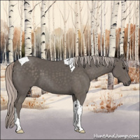 Horse Color:Silver Black Tobiano 