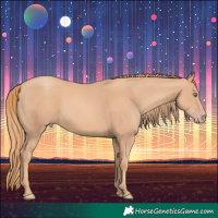 Horse Color:Gold Champagne 
