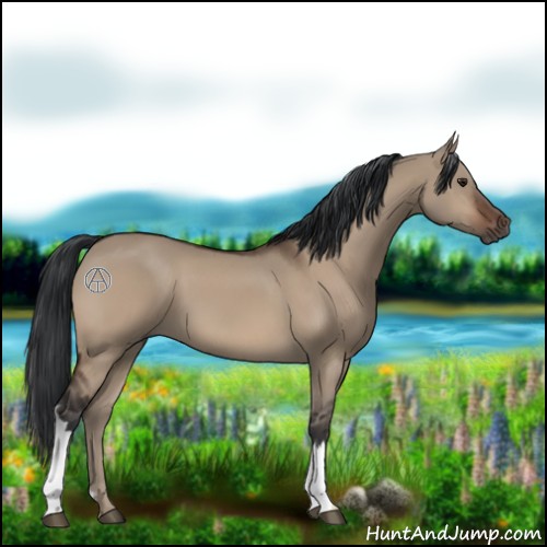 Horse Color:Brown Dun