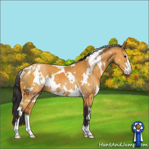 Horse Color:White Spotted Buckskin Sabino 