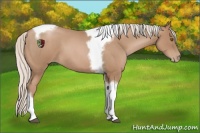 Horse Color:Silver Blue Roan Pearl Tobiano Frame 