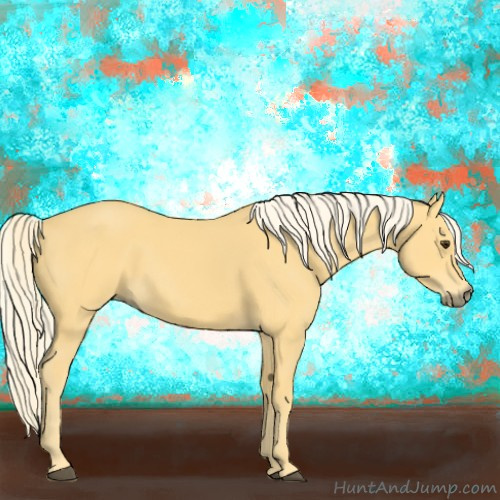 Horse Color:Palomino 