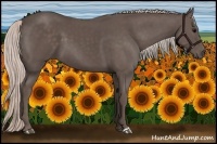 Horse Color:Silver Black 