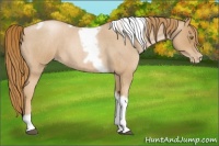 Horse Color:Red Roan Pearl Tobiano Frame