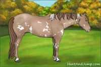 Horse Color:White Spotted Black Pearl 