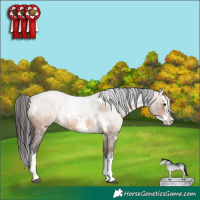 Horse Color:White Spotted Brown Dun Sabino Splash Rabicano 