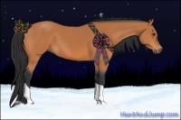 Horse Color:Bay Tobiano 