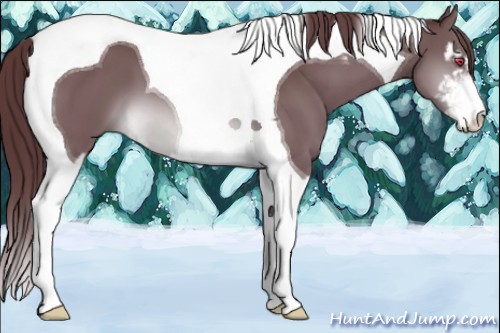 Horse Color:Chocolate Brown Chinchilla Mushroom Sabino Tobiano