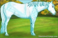 Horse Color:Thunderstruck Liver Red Onyx Chinchilla Sabino Appaloosa 