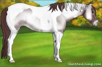 Horse Color:Chocolate Blue Onyx Chinchilla Tobiano Rabicano