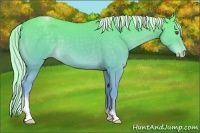 Horse Color:Cremello Chinchilla Tobiano