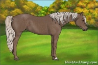 Horse Color:Silver Black 