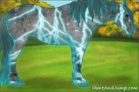 Horse Color:Thunderstruck Black Ice 