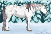 Horse Color:Nacre Liver Chestnut Sabino Splash Appaloosa 