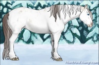 Horse Color:Liver Red Dun Sabino Splash Varnish