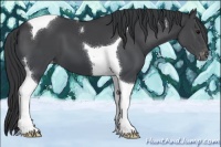 Horse Color:Black Tobiano Varnish 