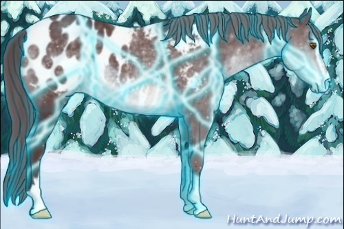 Horse Color:Thunderstruck Chocolate Brown Chinchilla Sabino Blanket