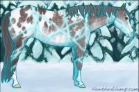 Horse Color:Thunderstruck Chocolate Brown Chinchilla Sabino Appaloosa 