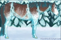 Horse Color:Thunderstruck White Spotted Chocolate Brown Chinchilla Sabino Rabicano 
