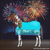 Horse Color:White Spotted Brown Appaloosa 