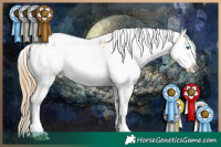 Horse Color:Smoky Black Pearl Sabino Splash Appaloosa 