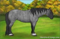 Horse Color:Blue Roan 