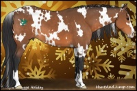 Horse Color:White Spotted Bay Sabino 