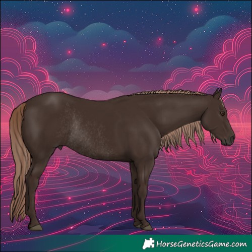 Horse Color:Liver Chestnut Rabicano 