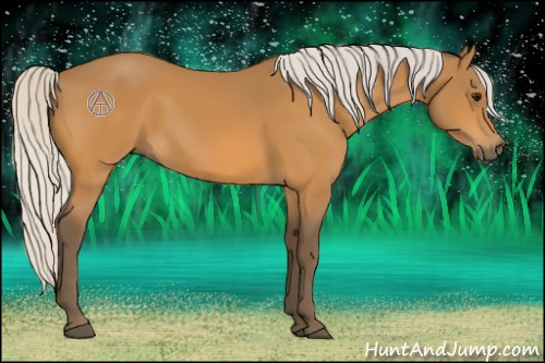 Horse Color:Silver Buckskin 