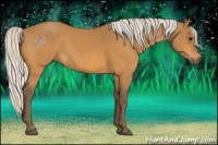 Horse Color:Silver Buckskin 