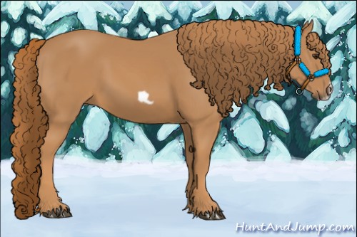 Horse Color:Chestnut Frame 