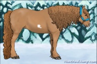 Horse Color:Chestnut Frame 