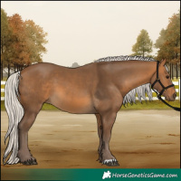 Horse Color:Silver Buckskin 