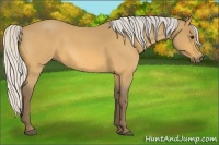 Horse Color:Silver Buckskin Roan 